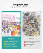 Dried Flowers, Resiners 174Pcs Pressed Flowers - Image 6