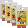 Our Own Candle Company Premium Wax Melt, Mango Smoothie Scent, Handmade in The USA, 24 Cubes (4 Pack, 9.6oz Total)