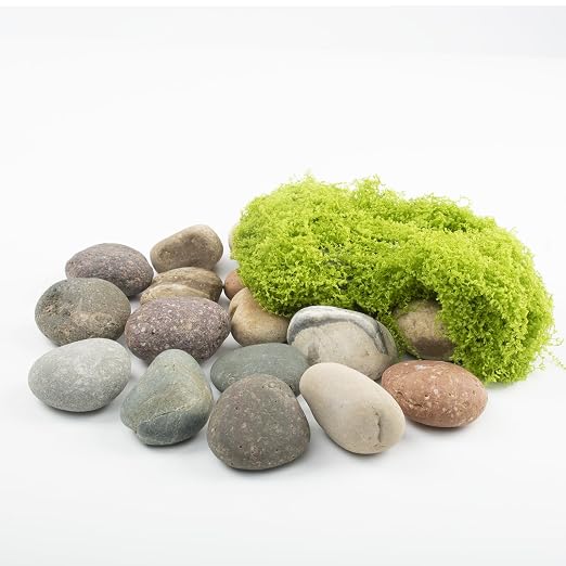 40 LBS Natural Pebbles - Image 4
