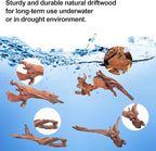 Natural Driftwood Decor for Aquarium Decorations Reptile Tank Accessories - Image 4