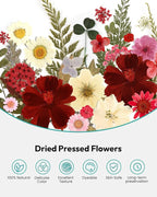 Dried Flowers, Resiners 174Pcs Pressed Flowers - Image 4