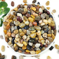 YISZM 2LB Succulent and Cactus Gravel Pebbles, 3/8 Inch Decorative Polished by YISZM-ForYourNaturalLife