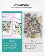 Dried Flowers, Resiners 100Pcs Pressed Flowers - Image 6