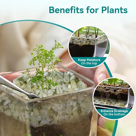 5 lbs Jade Pebbles for Indoor Plants, 1/5 Inch Succulent and Cactus Pebbles - Image 3