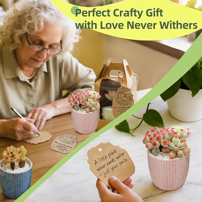 Microland Crafts for Teens Succulents Flower Making Kit, Teen Crafts Air Dry - Image 5