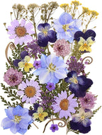 33pcs Dried Pressed Flowers for Crafts Resin DIY Art Natural Dry Floral Pansy by TopFunny