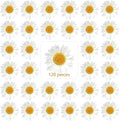 Nuanchu 120 Pcs Dried Pressed Flowers Daisies Pressed Dried Daisy Stickers by Nuanchu