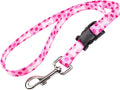 Country Brook Petz by CountryBrookPetz