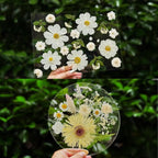 A4 Large Dried Pressed Flowers for Resin Pressed Flowers Real Dry Natural - Image 4
