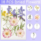 Real Dried Pressed Leaves for Candle Resin Jewelry Soap Nail Pendant Phone Case - Image 4