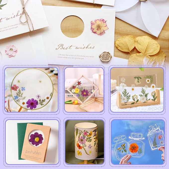Real Dried Pressed Leaves for Candle Resin Jewelry Soap Nail Pendant Phone Case - Image 7
