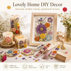 173 pcs Dried Flowers for Resin, Natural Flowers and Leaves Kit - Image 6
