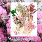 Vignee Real Dried Pressed Leaf Flowers-Multiple Colorful Pressed Flowers Daisies - Image 2