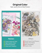 Dried Flowers, Resiners 100Pcs Pressed Flowers - Image 9