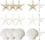 JQAQJU 3-4 Inches Large Starfish and Scallop Shells - Image 3