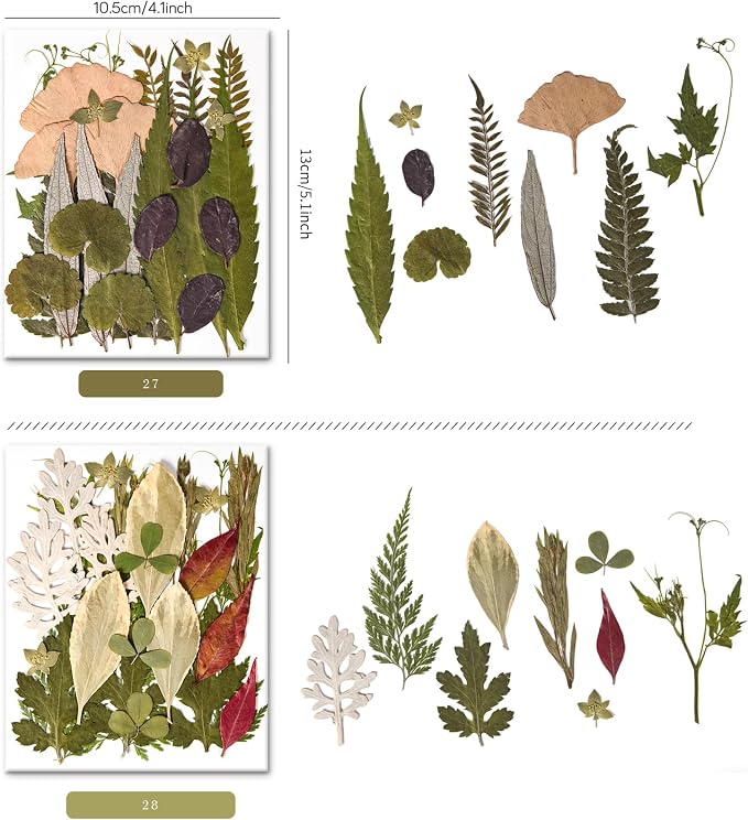110+PCS Pressed Flowers for Resin Molds, Colorful-H | Real Dried Flower Leaves - Image 3
