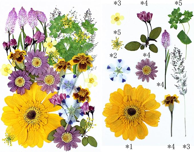 35Pcs Dried Pressed Flowers for Crafts Resin DIY Art Natural Dry Floral Large - Image 4