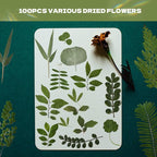 63 Pcs Dried Flowers for Resin | 21 Styles Pressed Leaves, Natural Dry Leaves - Image 2