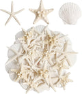 HAPYSHOOP 32 Pieces Starfish and Scallop Shells by Unknown