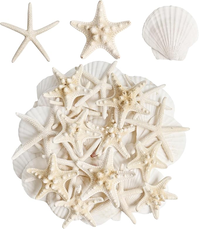 HAPYSHOOP 32 Pieces Starfish and Scallop Shells by Unknown