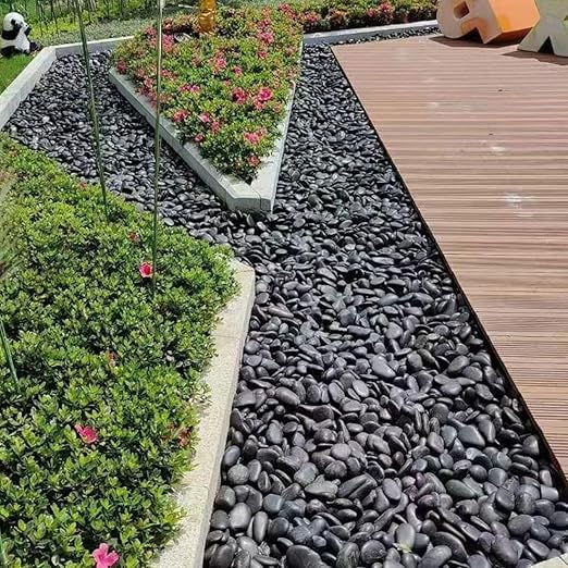 YISZM 5lbs Black Pebbles for Plants, 2-3 Inch High Polished Natural Large River - Image 3