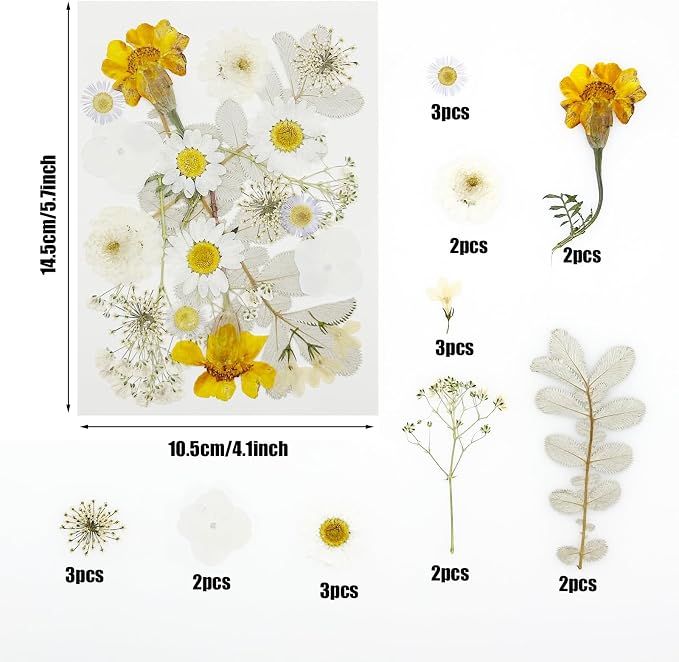 Woohome 44 PCS Pressed Flowers Natural Dried Flowers White Resin Flowers Real - Image 6