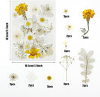 Woohome 44 PCS Pressed Flowers Natural Dried Flowers White Resin Flowers Real - Image 6