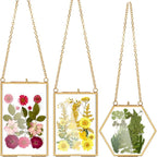 AVLA 3 Pack Pressed Flowers Glass Frames, Brass Hanging Picture Frames by AVLA