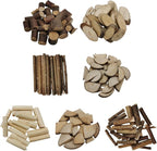 Natural Wood DIY Craft Kit 11 Types of Unfinished Wood Logs, Loose Wood Sticks - Image 3