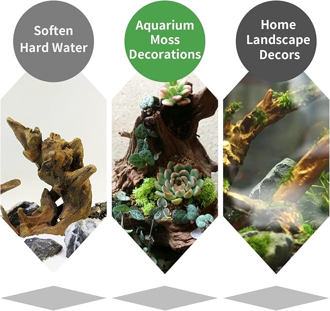 Hamiledyi 5 Pcs Driftwood Branches Aquarium Wood Decoration Natural Fish Tank - Image 5