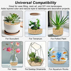 Succulent and Cactus Gravel Pebbles, Landscaping Pebbles, River Rocks, Garden - Image 7