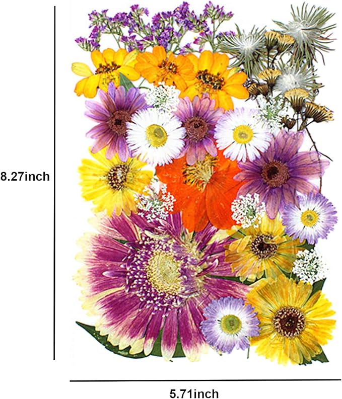 35Pcs Dried Pressed Flowers for Crafts Resin DIY Art Natural Dry Floral Large - Image 3