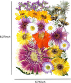 35Pcs Dried Pressed Flowers for Crafts Resin DIY Art Natural Dry Floral Large - Image 3