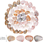 PPCLION 1000 Pcs Natural Tiny Small Sea Shells Colorful Clam Shells - Image 2