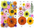 35Pcs Dried Pressed Flowers for Crafts Resin DIY Art Natural Dry Floral Large - Image 2