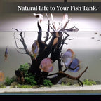 majoywoo Natural Coral Driftwood - Image 5