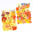 96Pcs Fall Dried Pressed Flowers - Image 3