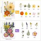 173 pcs Dried Flowers for Resin, Natural Flowers and Leaves Kit - Image 3