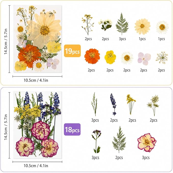 173 pcs Dried Flowers for Resin, Natural Flowers and Leaves Kit - Image 3