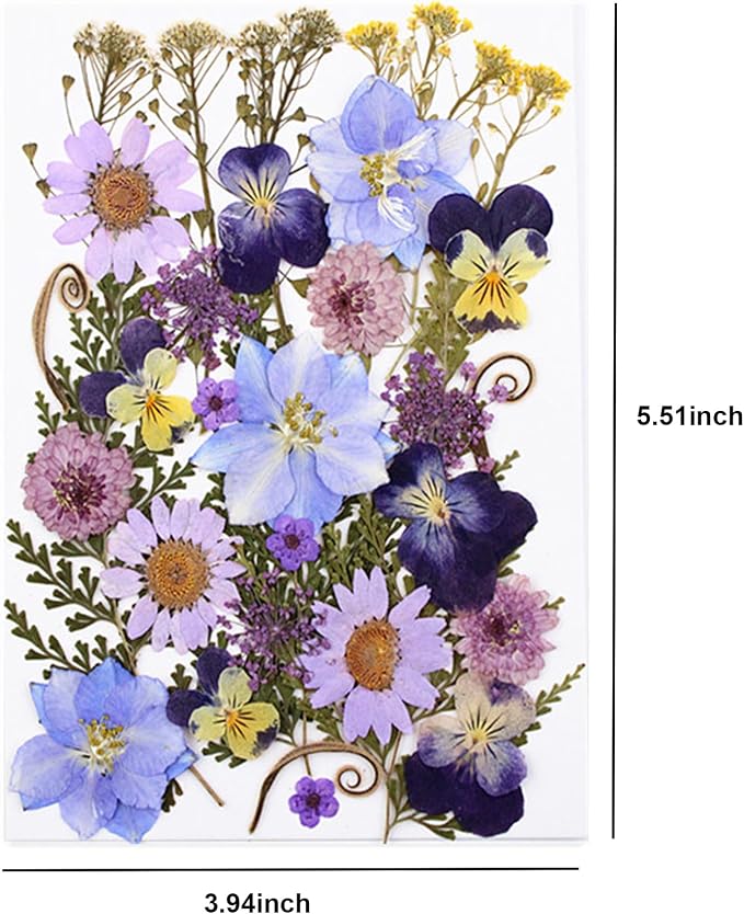 33pcs Dried Pressed Flowers for Crafts Resin DIY Art Natural Dry Floral Pansy - Image 4