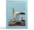 12x16 Picture Frame with Mat for 11x14, Wavy Edge Wooden Real Glass Photo Frame by THKRLOF