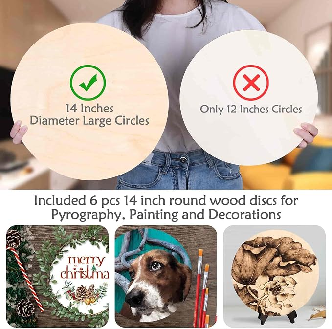 6 Pack 14 Inch Wood Rounds Circles - Image 2