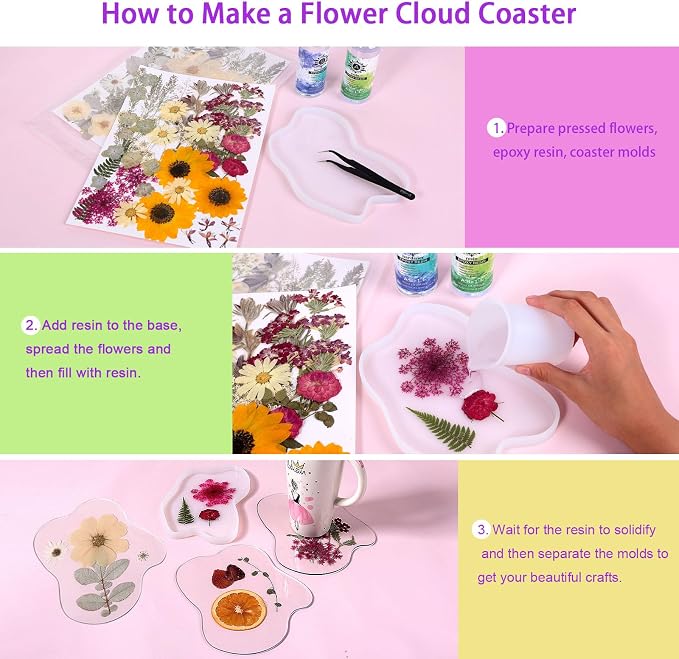 Large Dried Pressed Flowers for Art Crafts, Real Dry Natural Flower Leaf Fruit - Image 3