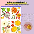 Nature Dried Pressed Fruits Flowers - Image 2