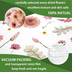 34 Types 60PCS Real Dried Pressed Flowers Leaf Plant Herbarium - Image 4