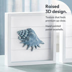 Tide and Tales 3D Seashells & Starfish Coastal Wall Art Decor Beach Wall Decor - Image 5