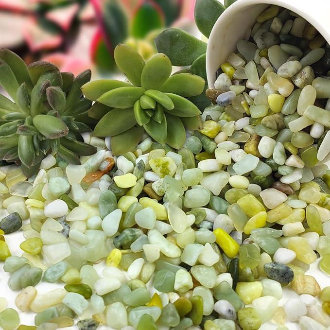 FANTIAN 5 lbs Jade Pebbles for Indoor Plants, 1/4 inch Polished Gravel Rocks - Image 7