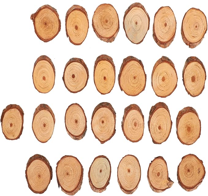 Rustic Unfinished Wooden Ornament Craft Kit 25 Piece DIY Blank Set - Image 6