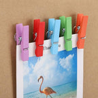 100Pcs Push Pin with Wooden Clips Tacks - Image 6