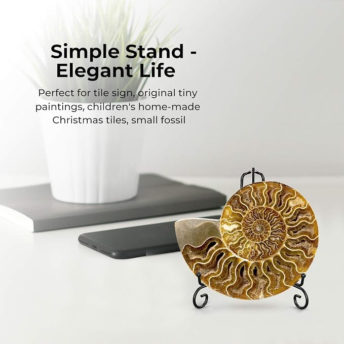 TR-LIFE 4 Pack Plate Stands for Display - Image 5